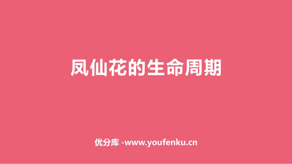 《凤仙花的生命周期》PPT课件[人教版三年级科学下册]_第1页