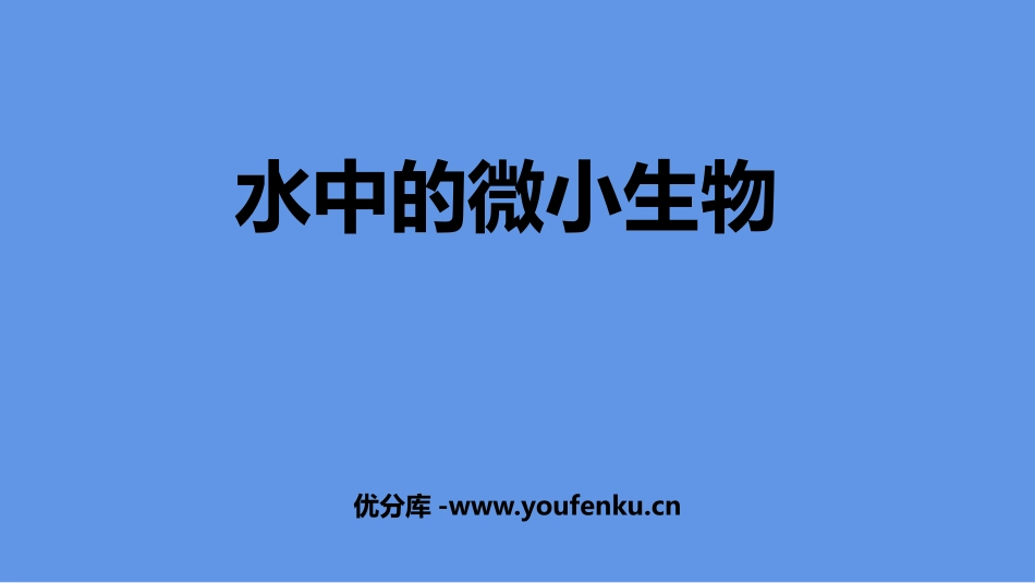 《水中的微小生物》PPT课件[人教版五年级科学上册]_第1页