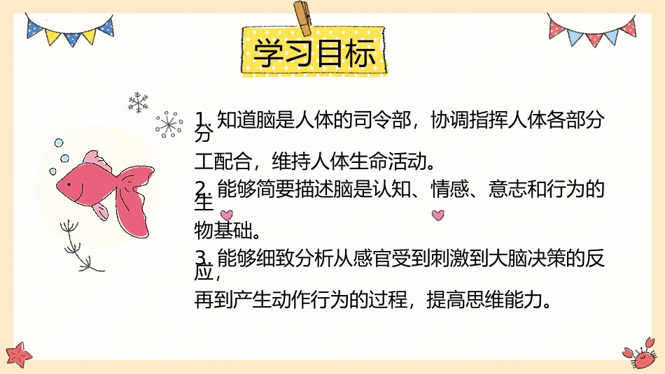 《人体司令部》PPT课件[大象版五年级科学上册]_第2页