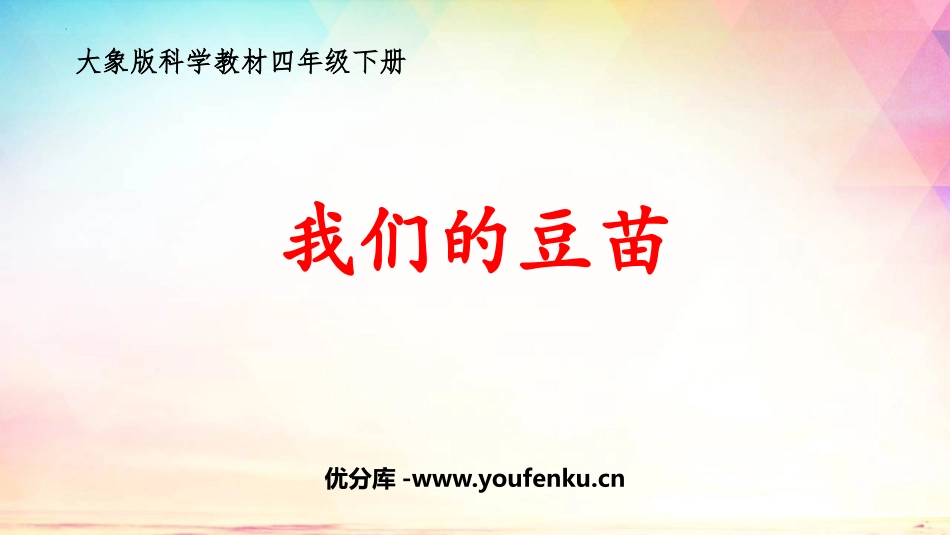 《我们的豆苗》PPT课件[大象版四年级科学下册]_第1页