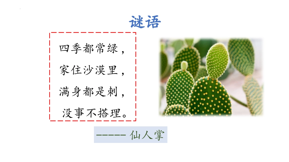 《奇妙的植物》PPT课件[大象版四年级科学下册]_第2页