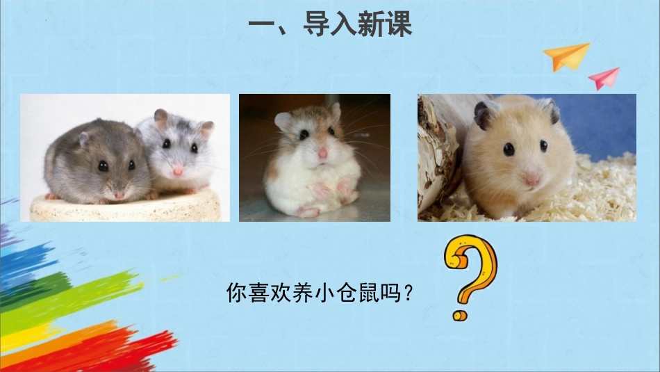 《领养小仓鼠》PPT课件[大象版四年级科学下册]_第2页