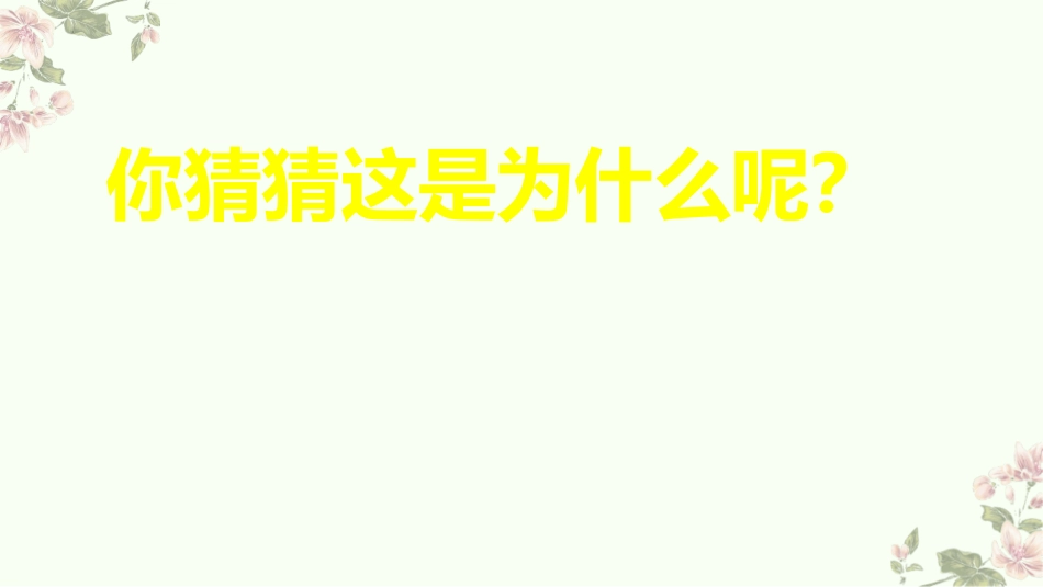 《乒乓球复原了》PPT课件[大象版四年级科学上册]_第3页