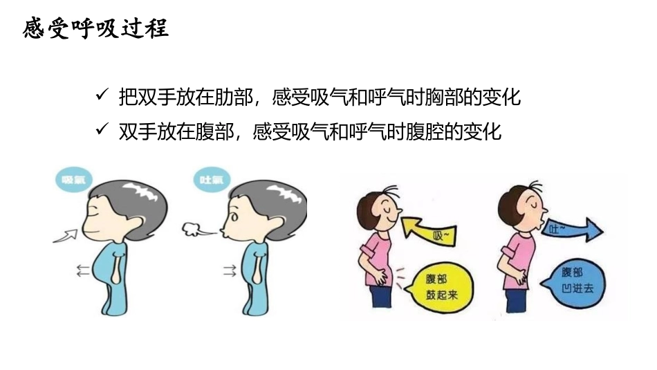 《肺是怎样呼吸的》PPT课件[大象版四年级科学上册]_第2页