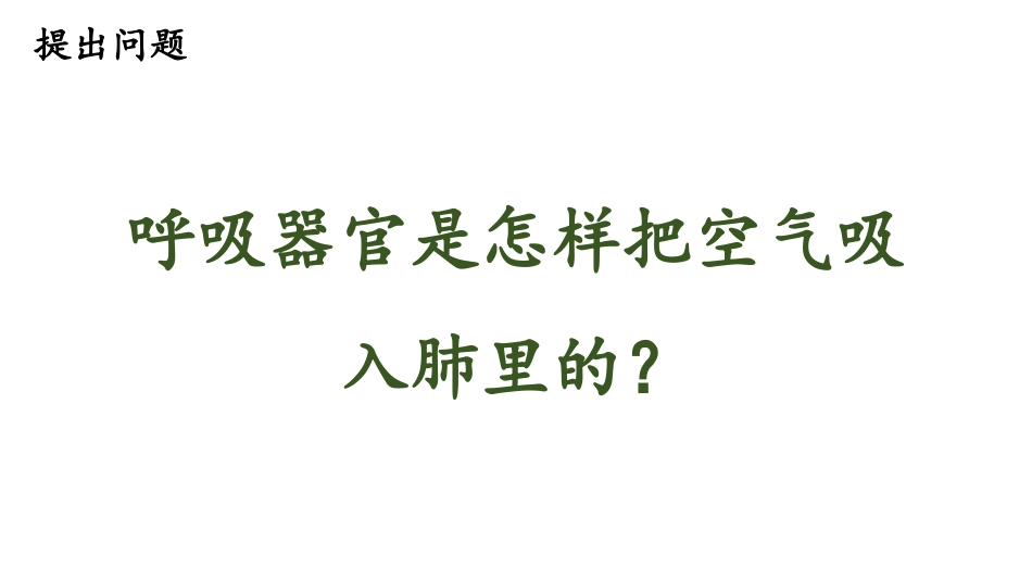 《肺是怎样呼吸的》PPT课件[大象版四年级科学上册]_第3页