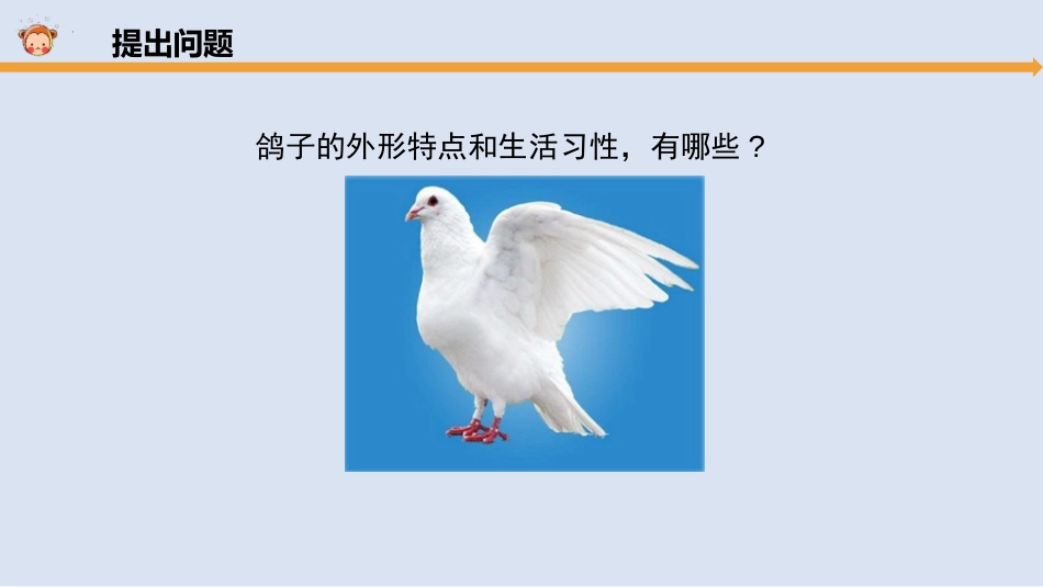 《鸟类的特征》PPT课件[大象版三年级科学上册]_第2页