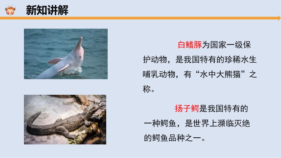 《珍稀动物》PPT课件[大象版三年级科学上册]_第3页
