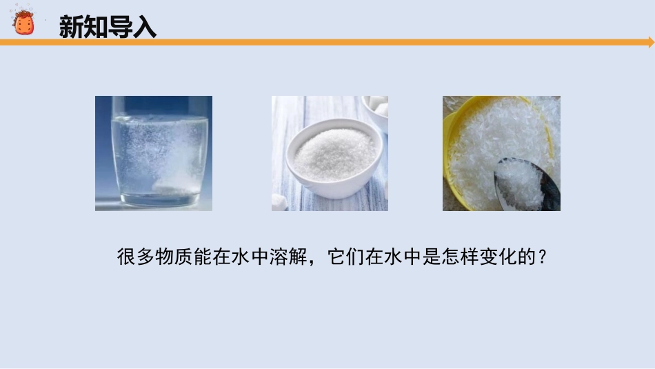 《不一样的溶解》PPT课件[大象版三年级科学上册]_第2页