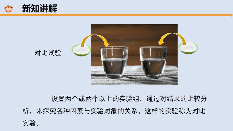 《溶解与搅拌》PPT课件[大象版三年级科学上册]_第3页