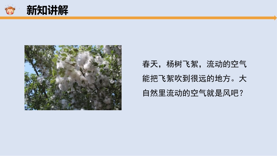 《大自然里的风》PPT课件  。[大象版三年级科学上册]_第3页