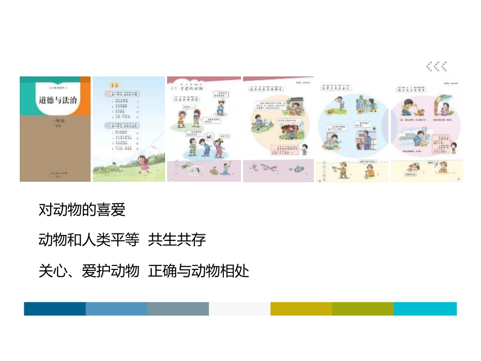 《可爱的动物》PPT优秀课件[一年级道德与法治下册]_第2页
