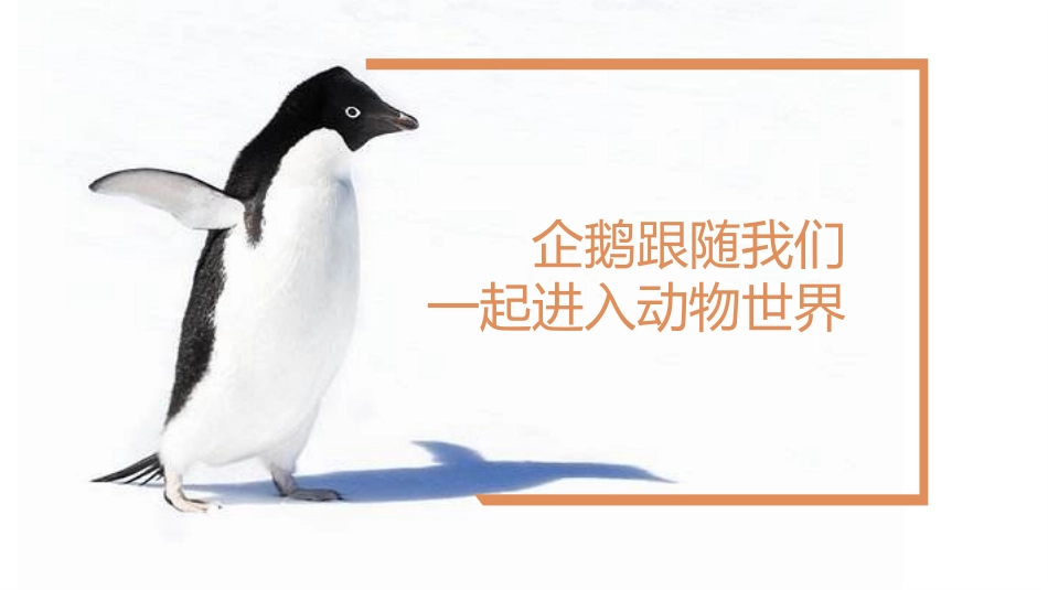 《可爱的动物》PPT优质课件[一年级道德与法治下册]_第3页