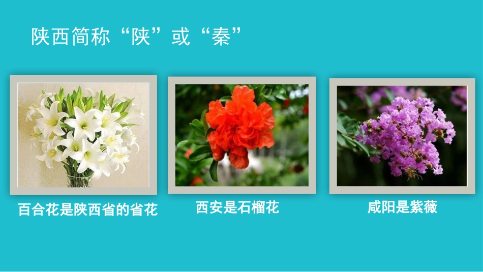 《请到我的家乡来》PPT课件[三年级道德与法治下册]_第3页