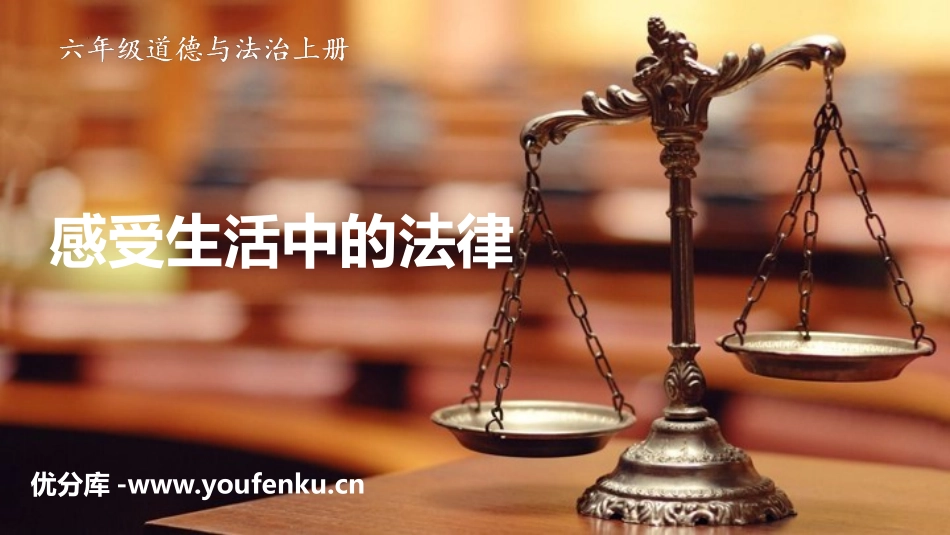 《感受生活中的法律》PPT课件[六年级道德与法治上册]_第1页