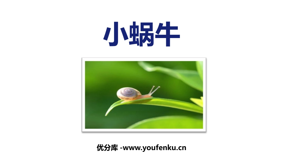 《小蜗牛》PPT免费课件[部编版一年级语文上册]_第1页