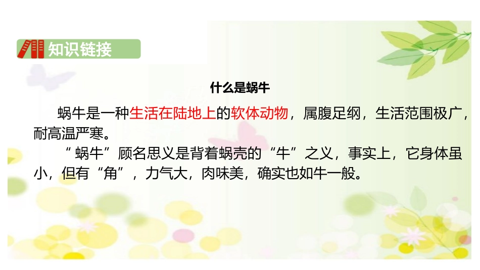 《小蜗牛》PPT免费课件[部编版一年级语文上册]_第3页