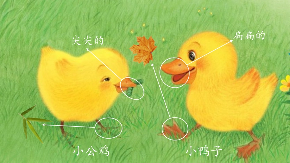 《小公鸡和小鸭子》PPT课文课件[部编版一年级语文下册]_第3页