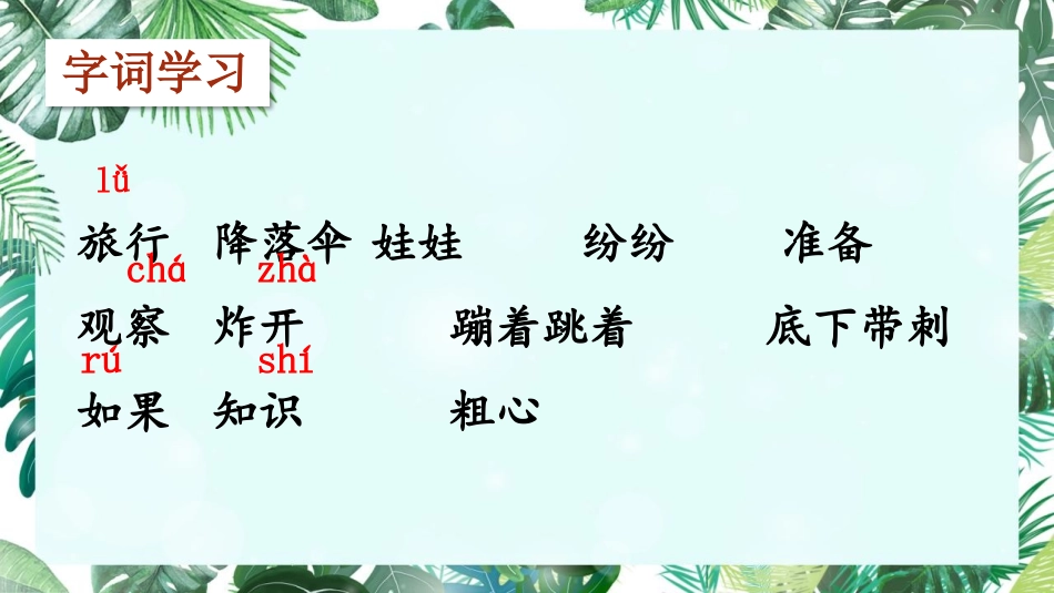 《植物妈妈有办法》PPT免费教学课件[部编版二年级语文上册]_第3页
