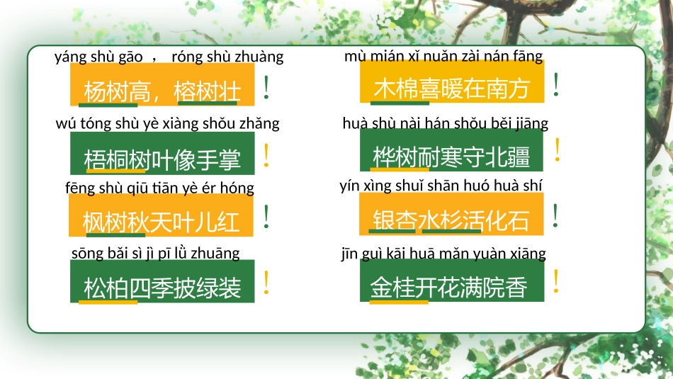 《树之歌》PPT免费课件[部编版二年级语文上册]_第2页