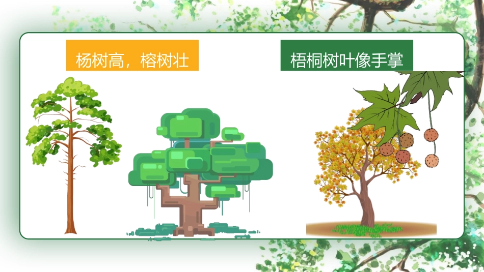《树之歌》PPT免费课件[部编版二年级语文上册]_第3页