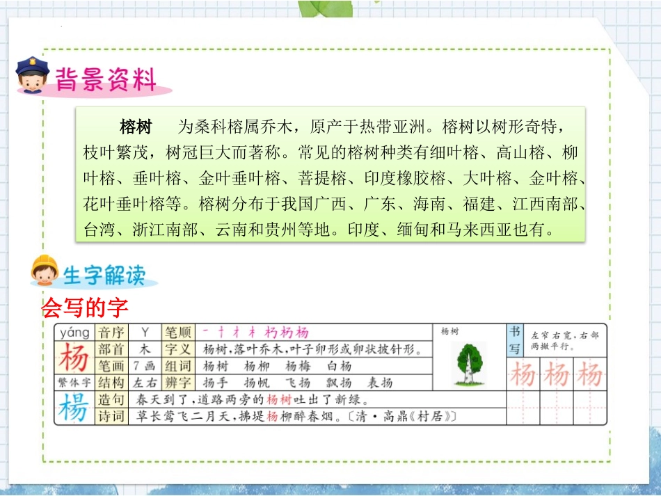 《树之歌》PPT优质教学课件[部编版二年级语文上册]_第2页