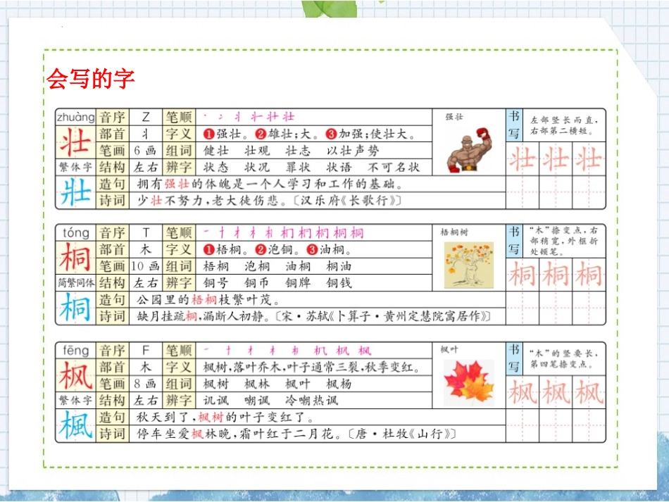 《树之歌》PPT优质教学课件[部编版二年级语文上册]_第3页