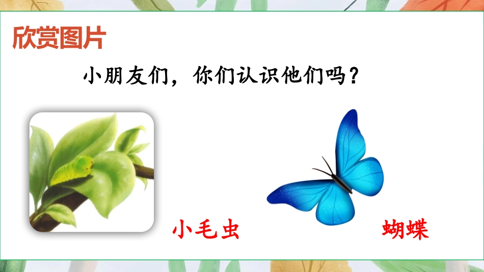 《小毛虫》PPT(第1课时)PPT课件[部编版二年级语文]_第2页