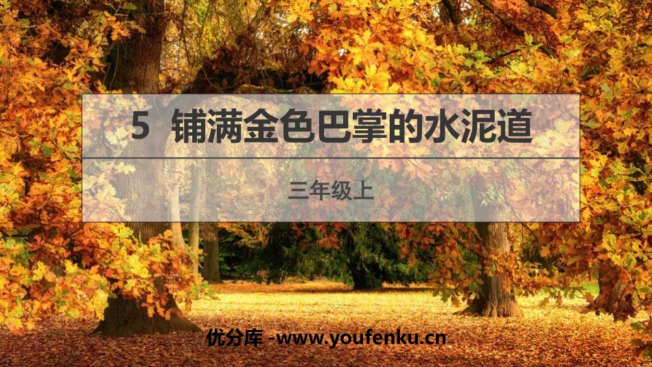《铺满金色巴掌的水泥道》PPT免费教学课件[部编版三年级语文]_第1页