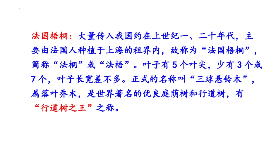 《铺满金色巴掌的水泥道》PPT免费教学课件[部编版三年级语文]_第3页