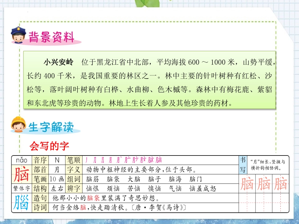 《美丽的小兴安岭》PPT免费教学课件[部编版三年级语文上册]_第1页