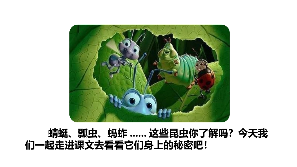 《昆虫备忘录》PPT免费课件[部编版三年级语文下册]_第3页