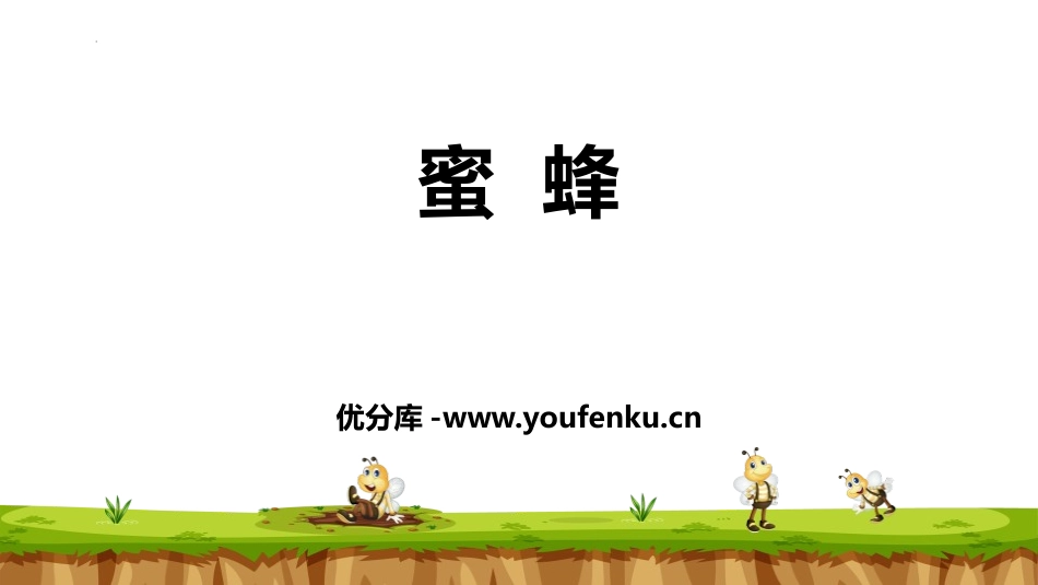 《蜜蜂》PPT优秀课件[部编版三年级语文下册]_第1页