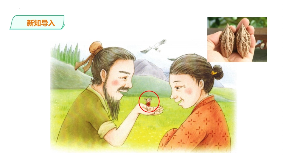《枣核》PPT优质课件[部编版三年级语文下册]_第3页