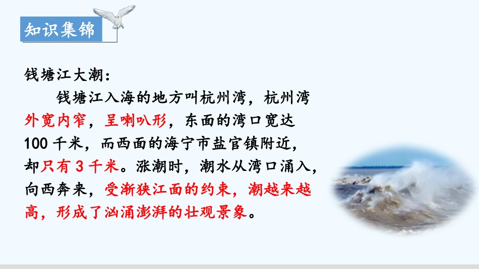 《观潮》PPT免费课件[部编版四年级语文上册]_第1页