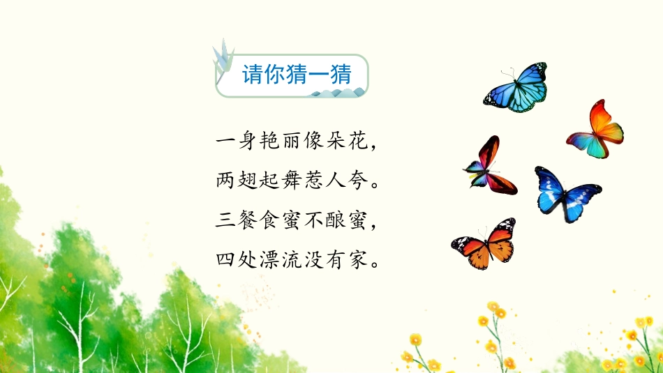 《蝴蝶的家》PPT优秀课件[部编版四年级语文上册]_第2页