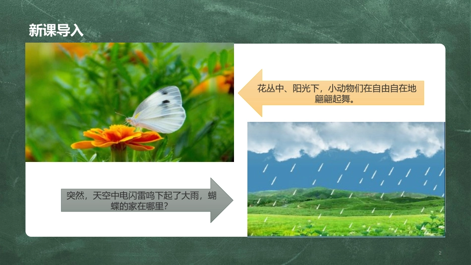 《蝴蝶的家》PPT课文课件[部编版四年级语文上册]_第2页