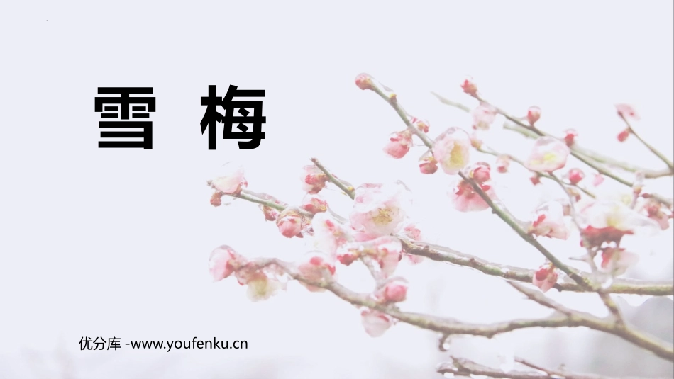《雪梅》PPT优质课件[部编版四年级语文上册]_第1页