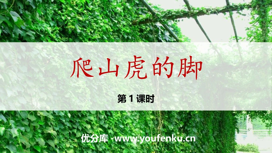 《爬山虎的脚》PPT精品课件(第1课时)[部编版四年级语文]_第1页