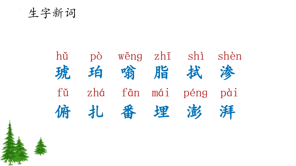《琥珀》PPT免费课件[部编版四年级语文下册]_第3页