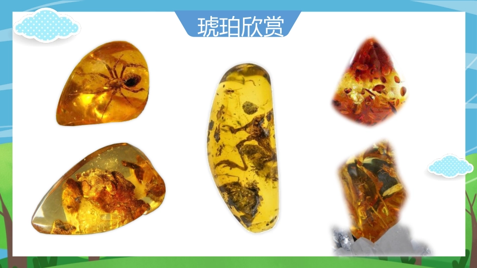 《琥珀》PPT教学课件[部编版四年级语文下册]_第2页