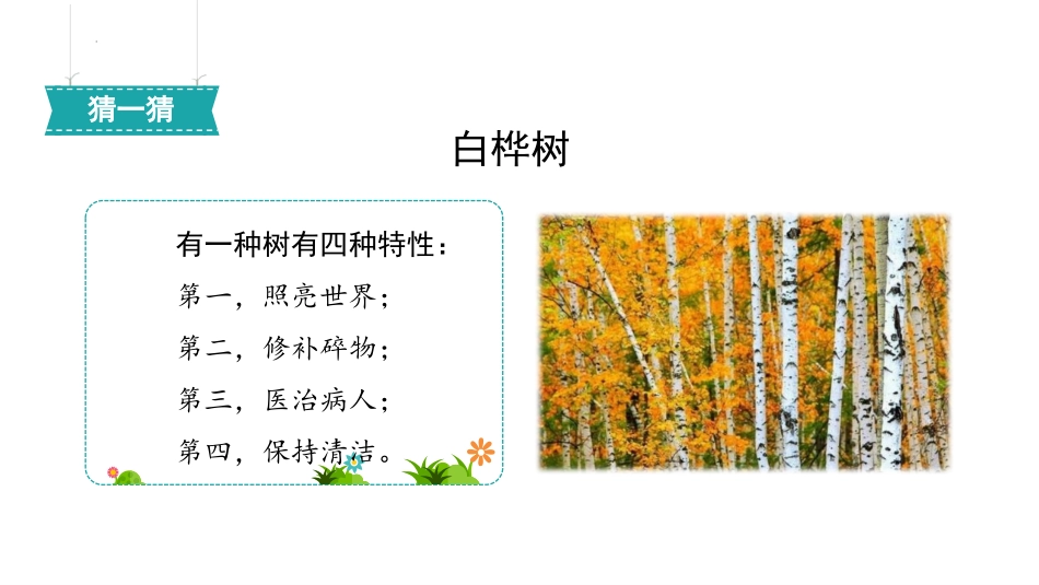 《白桦》PPT优质课件[部编版四年级语文下册]_第2页