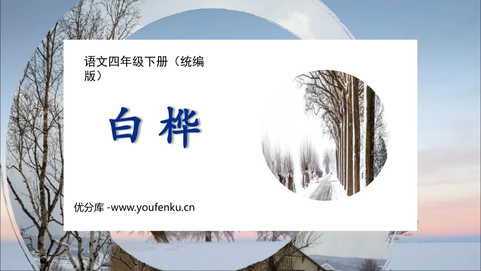 《白桦》PPT优秀课件[部编版四年级语文下册]_第1页