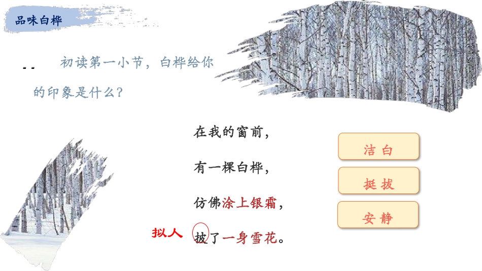 《白桦》PPT优秀课件[部编版四年级语文下册]_第3页