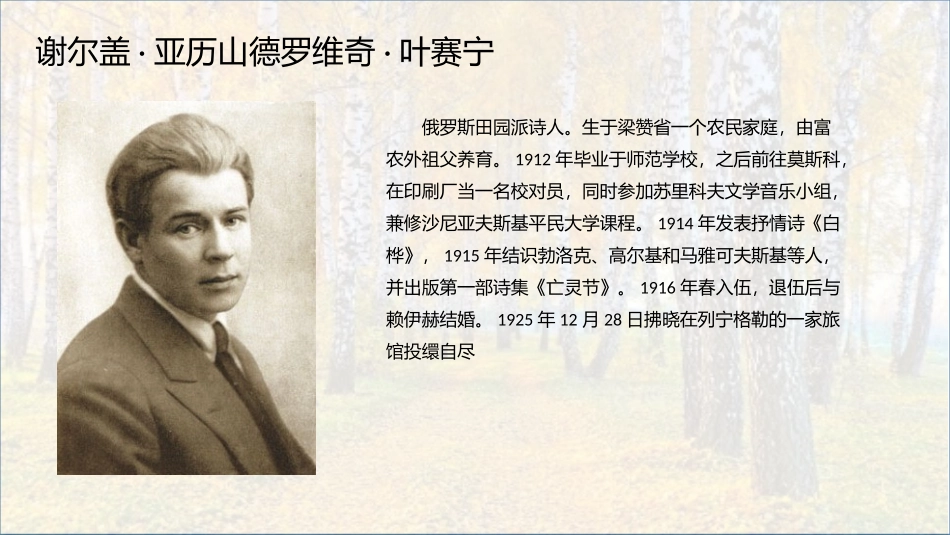 《白桦》PPT课文课件[部编版四年级语文下册]_第2页