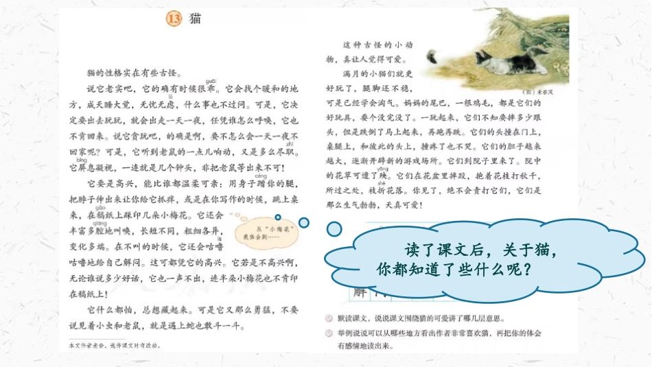 《猫》PPT优秀教学课件[部编版四年级语文下册]_第3页