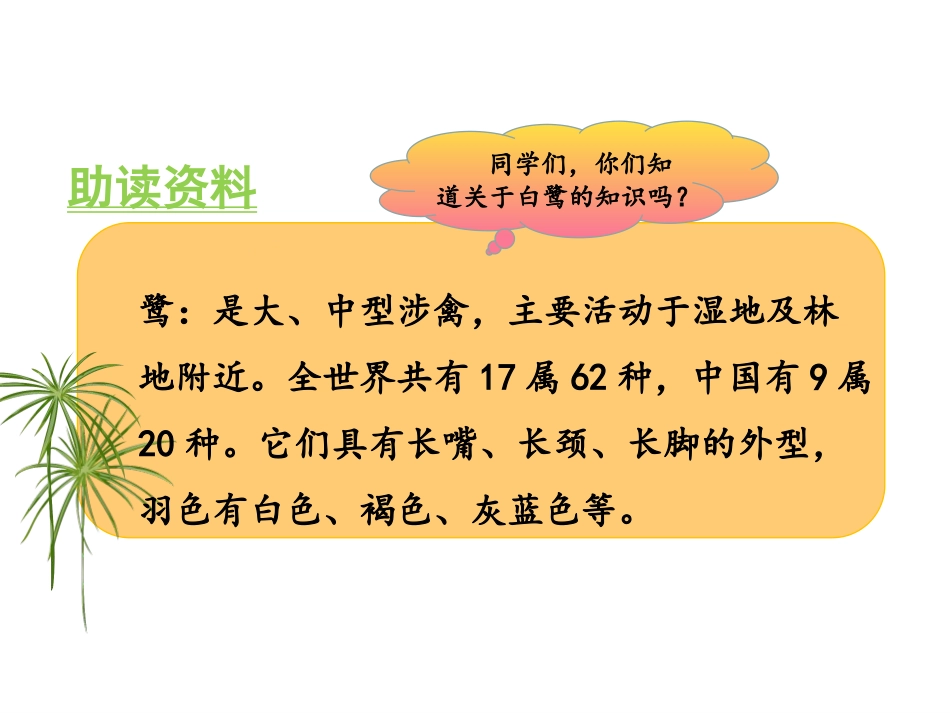 《白鹭》PPT优秀课件[部编版五年级语文上册]_第2页