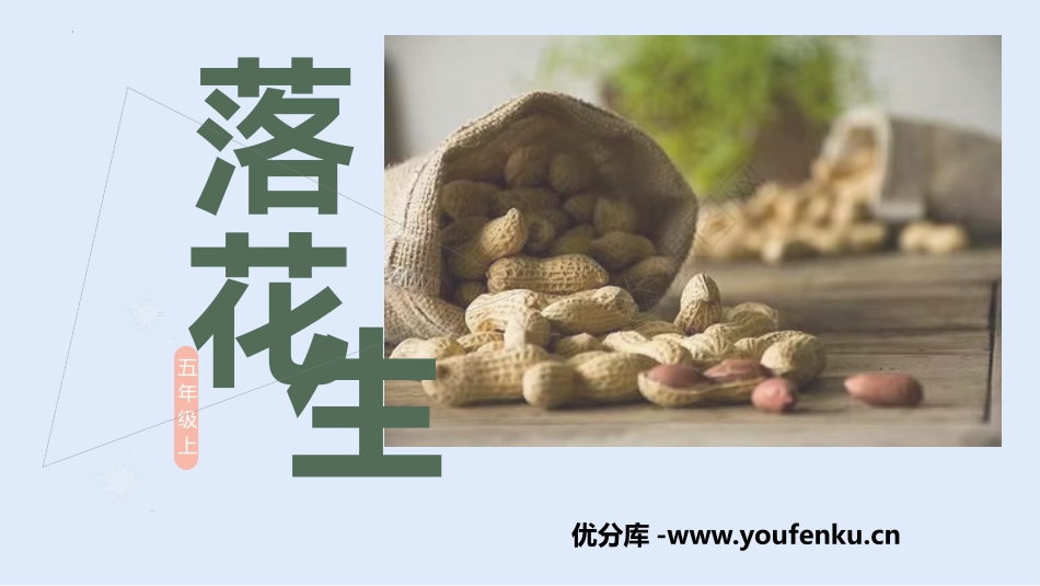 《落花生》PPT免费精品课件[部编版五年级语文上册]_第1页