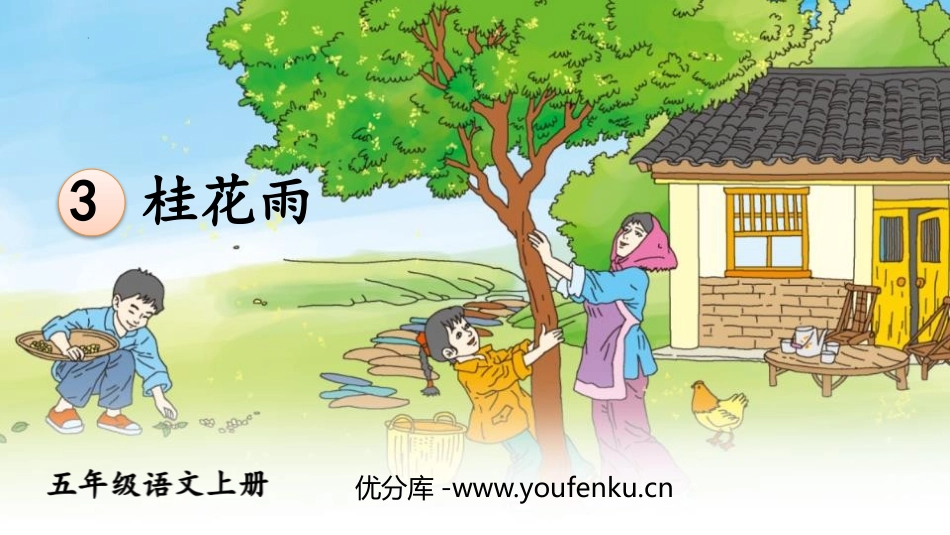 《桂花雨》PPT免费教学课件[部编版五年级语文上册]_第1页