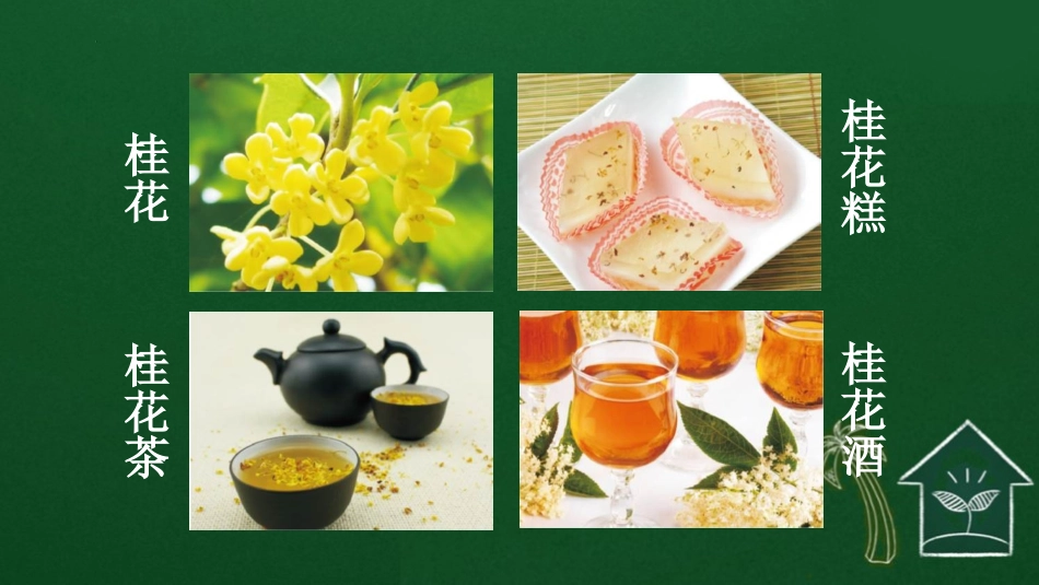 《桂花雨》PPT免费教学课件[部编版五年级语文上册]_第3页