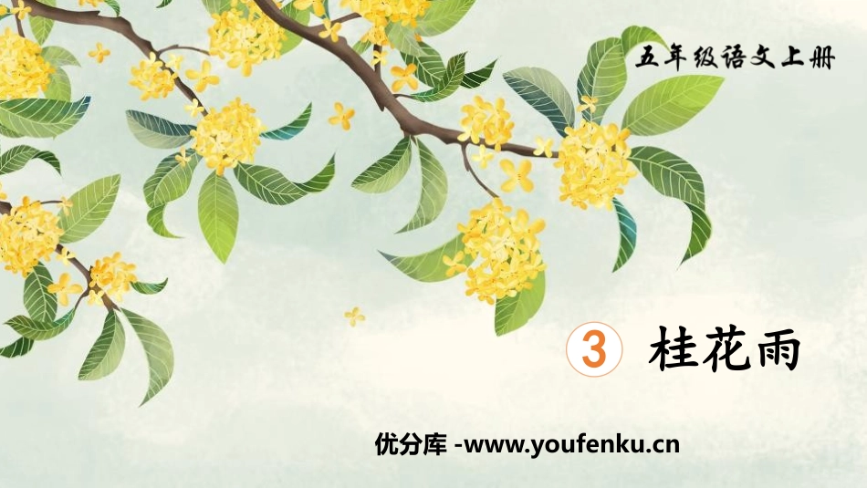 《桂花雨》PPT免费精品课件[部编版五年级语文上册]_第1页